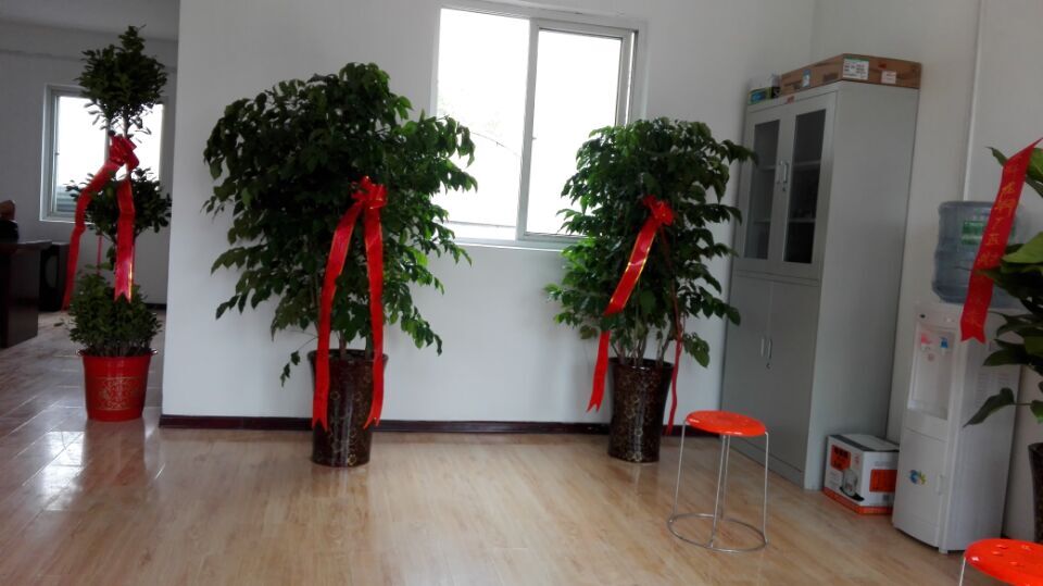 程師傅龍湖分廠開業大吉